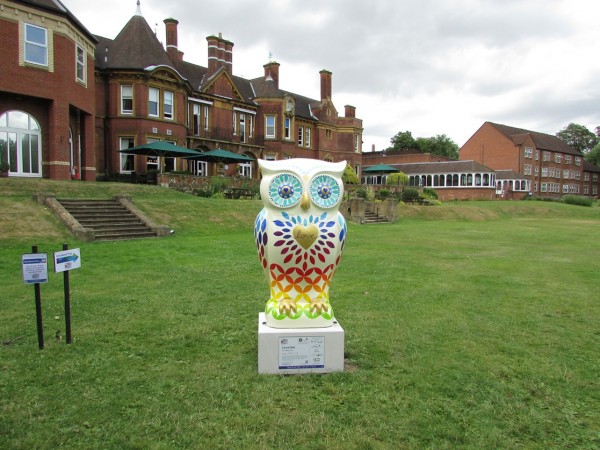 Love Owl at Moor Hall Hotel Spa